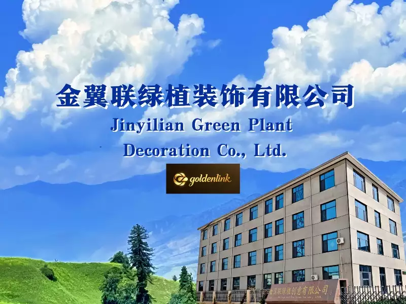 Jinyilian Green Plant Innovation Co., Ltd.