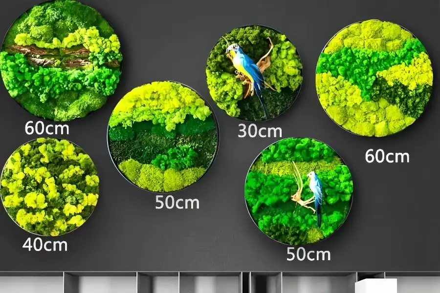 绿植装饰—苔藓圆形装饰艺术品