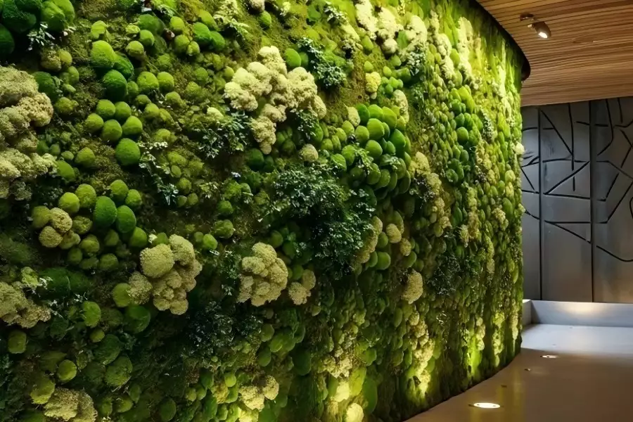 苔藓背景墙