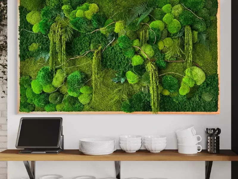 苔藓艺术墙