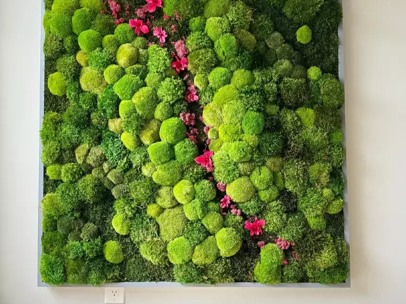 心情兰花苔藓墙