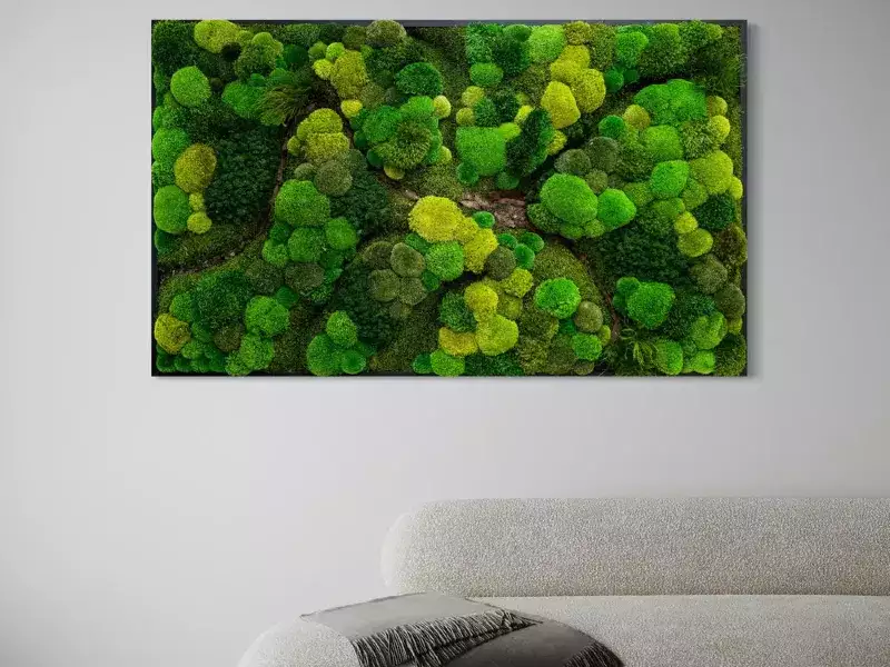 起伏的丘陵科特萨苔藓墙艺术